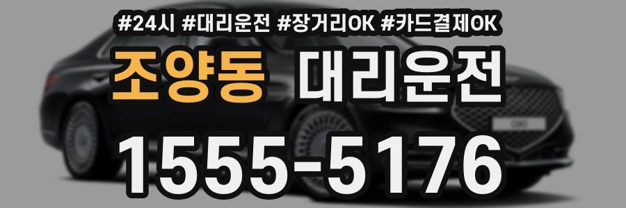 조양동 대리운전