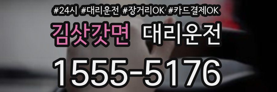 김삿갓면 대리운전