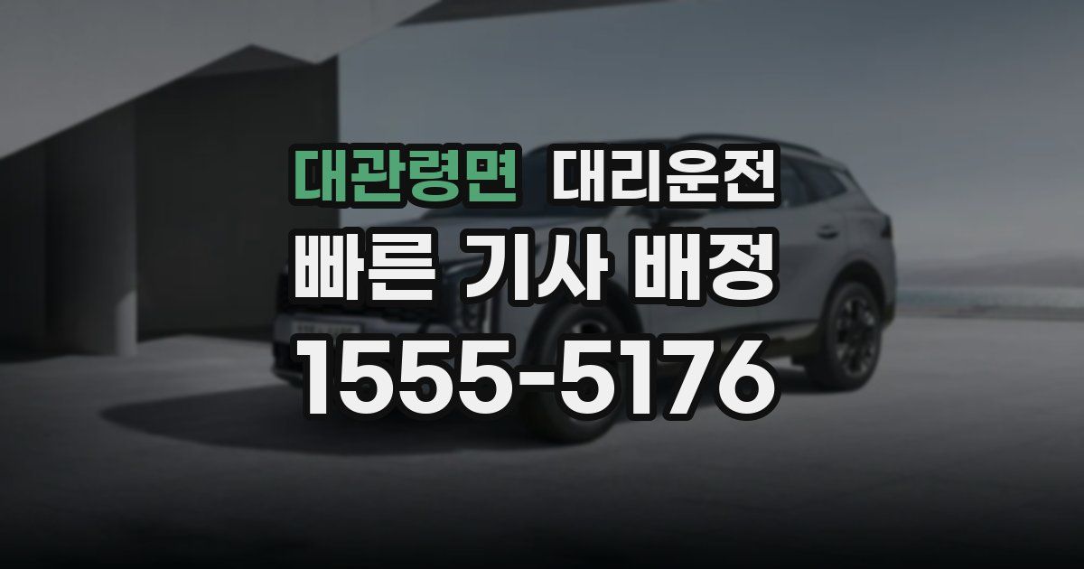 일일대리기사