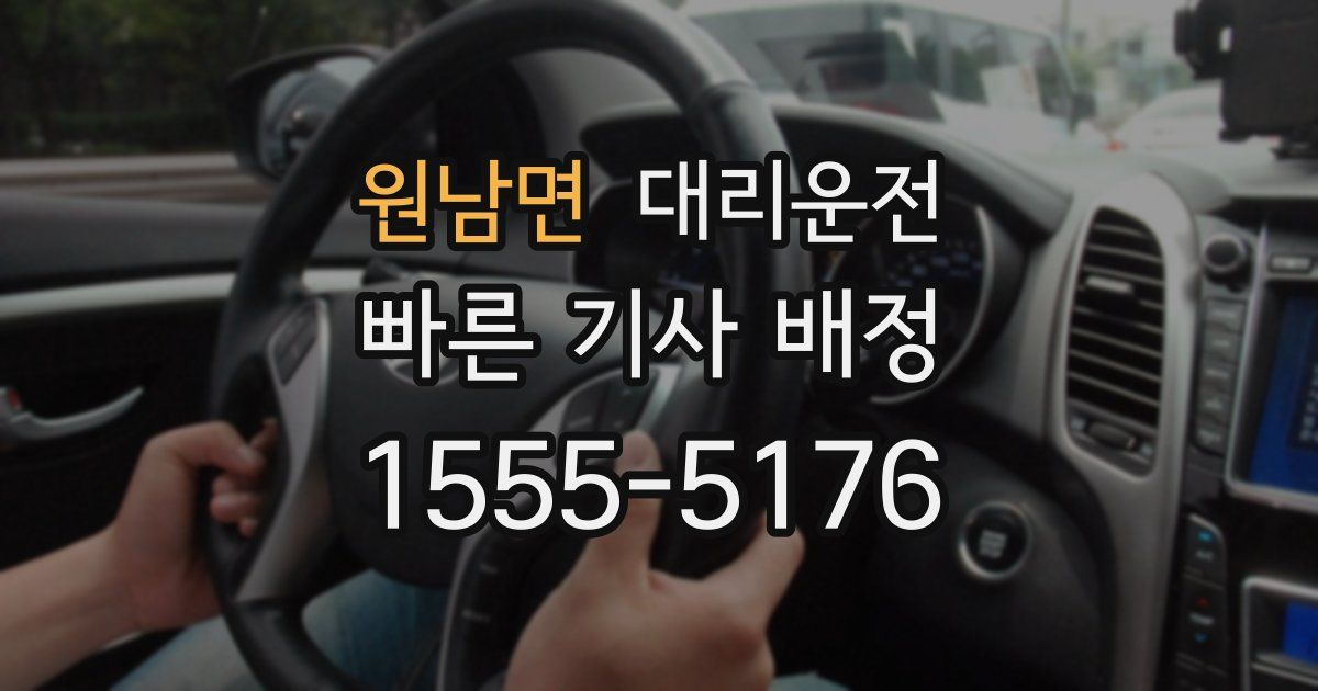 일일대리기사
