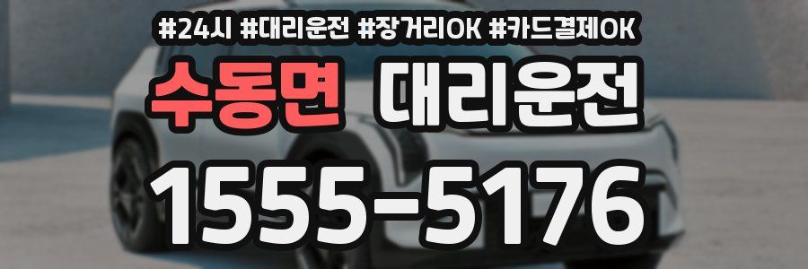 수동면 대리운전