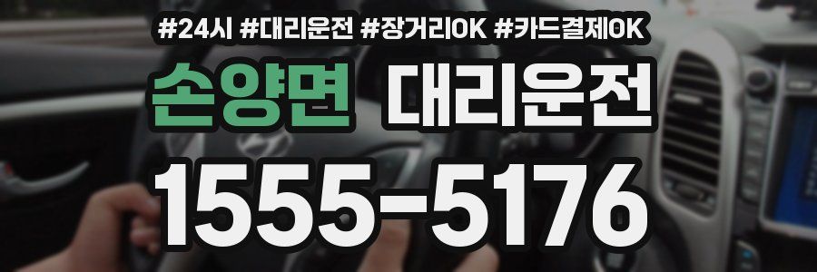 손양면 대리운전