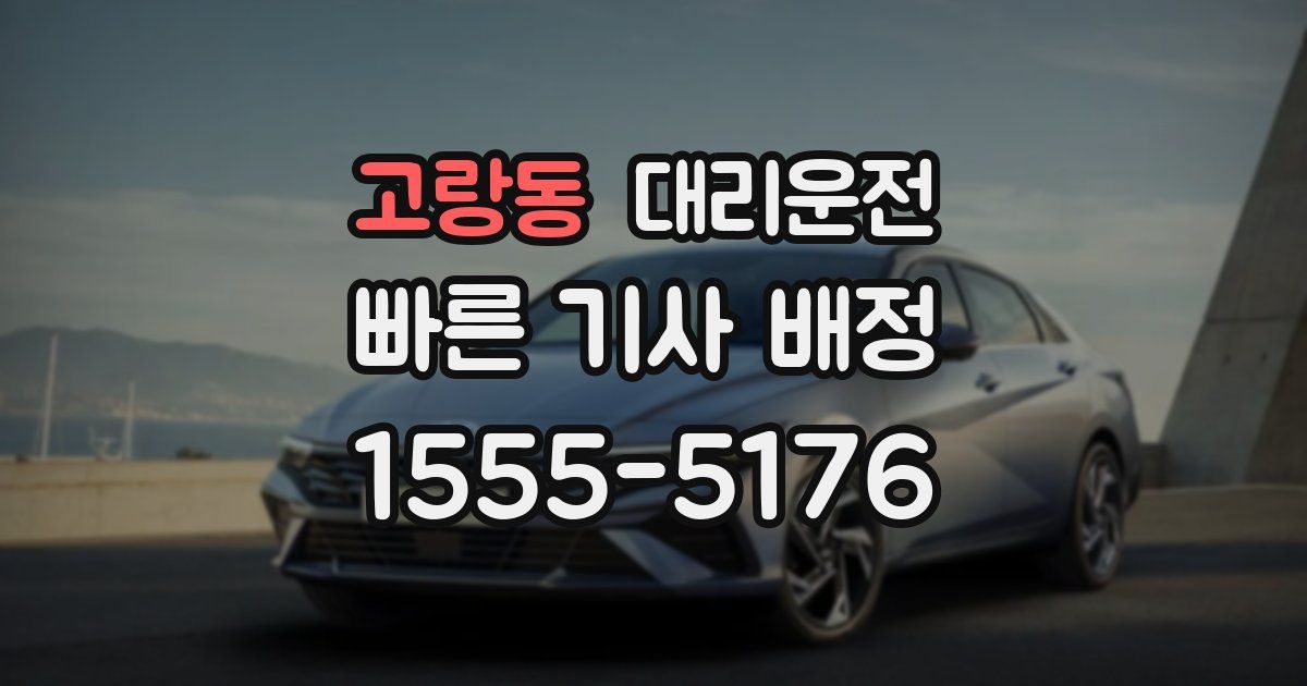일일대리기사