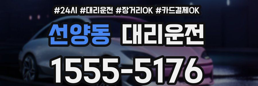 선양동 대리운전