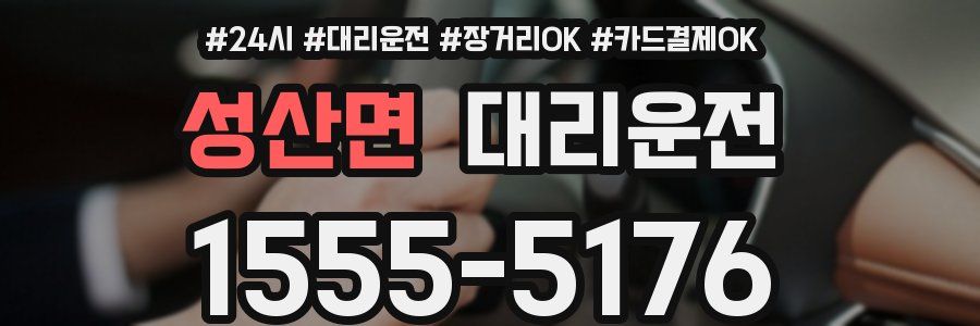 성산면 대리운전