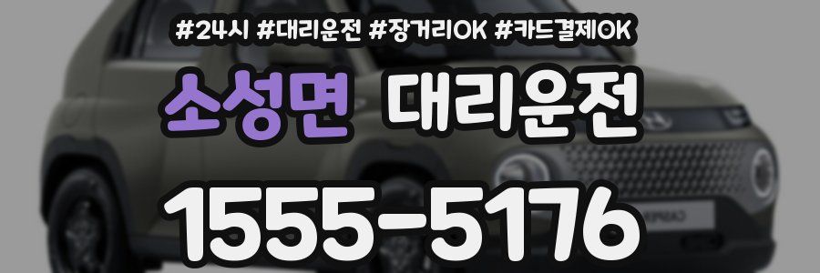 소성면 대리운전