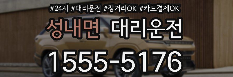 성내면 대리운전
