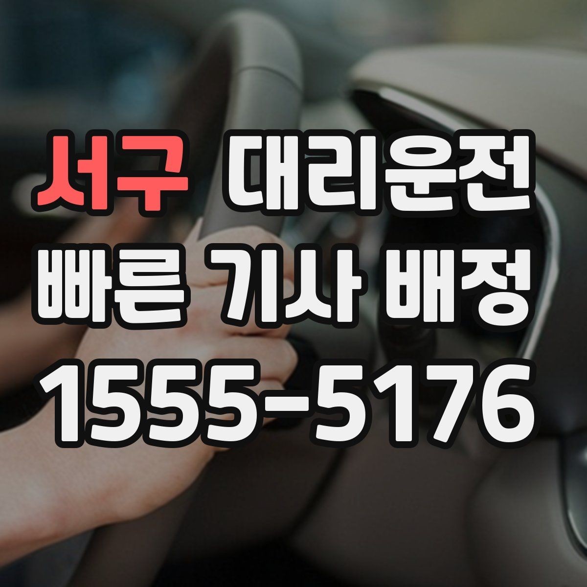 서구 대리운전 반려동물 이동 시 안전 벨트 안내