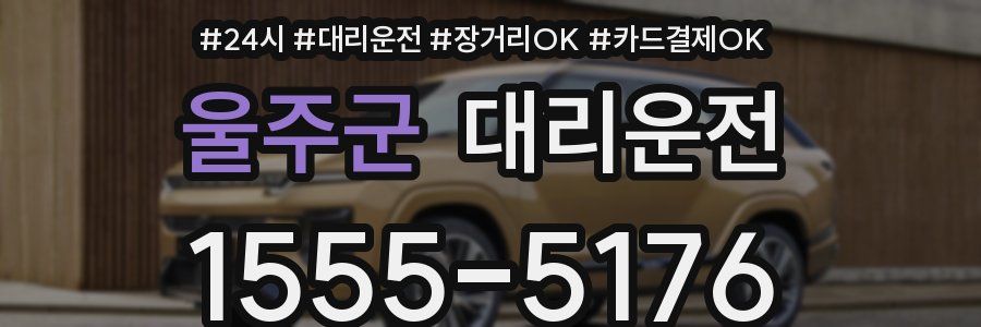 울주군 대리운전