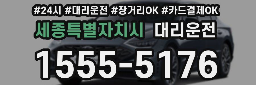 세종특별자치시 대리운전