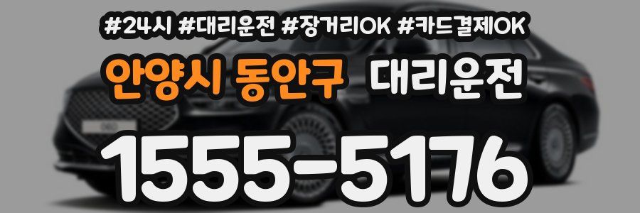 안양시 동안구 대리운전