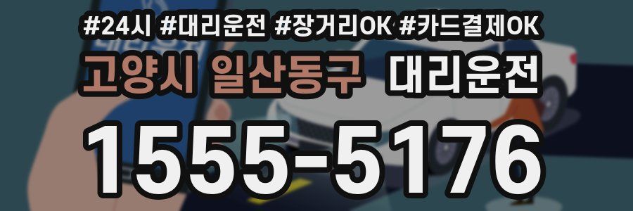 고양시 일산동구 대리운전