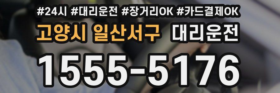 고양시 일산서구 대리운전