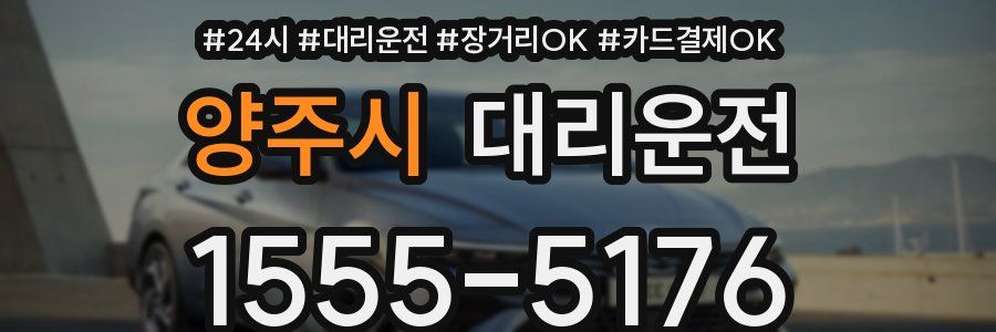 양주시 대리운전