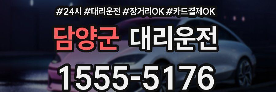 담양군 대리운전