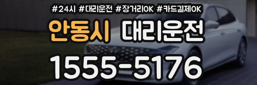 안동시 대리운전
