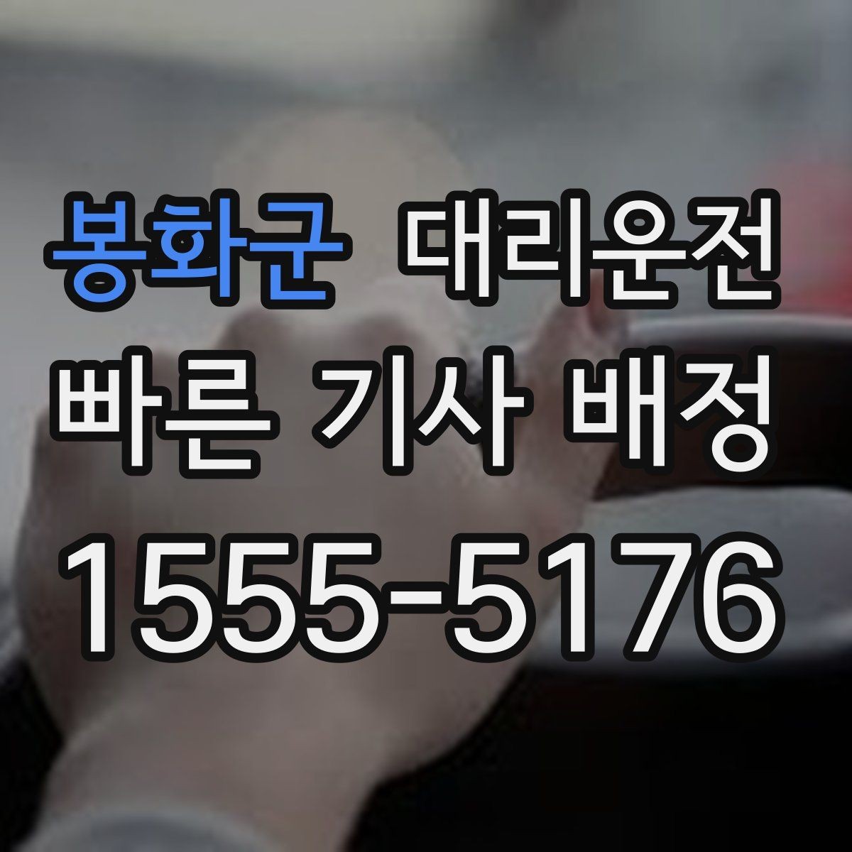 봉화군 대리운전 반려동물 동승 시 안전 케어 제공
