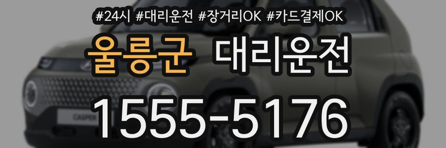 울릉군 대리운전