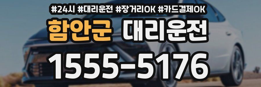 함안군 대리운전