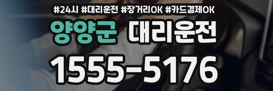 양양군 대리운전