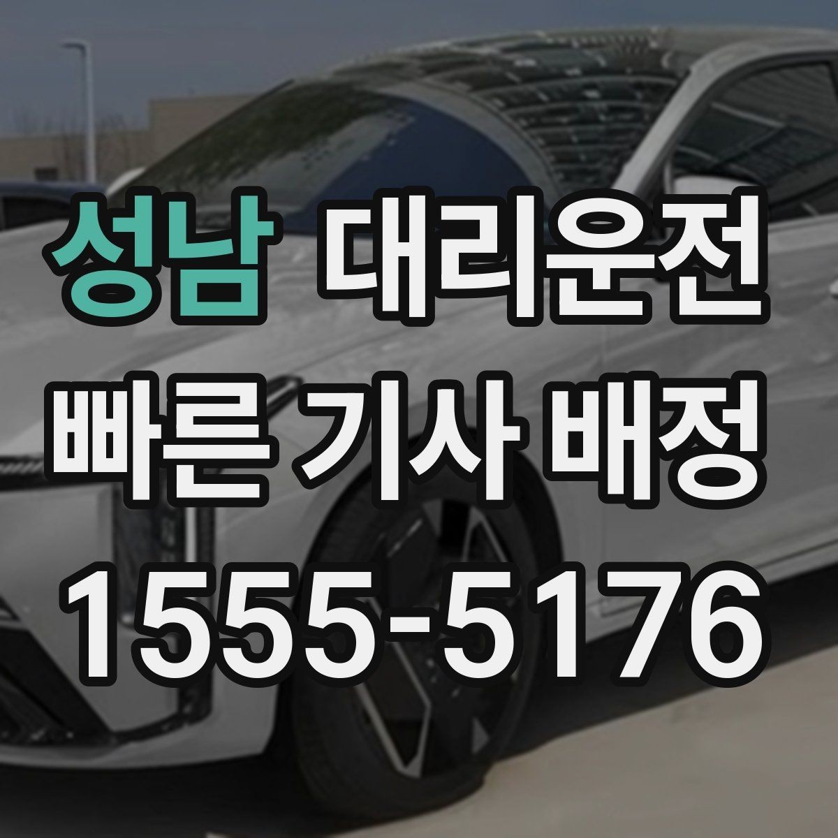 성남 대리운전 반려동물 이동 시 안전 벨트 안내