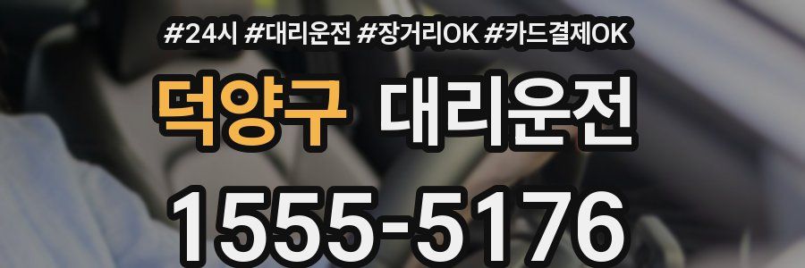 덕양구 대리운전