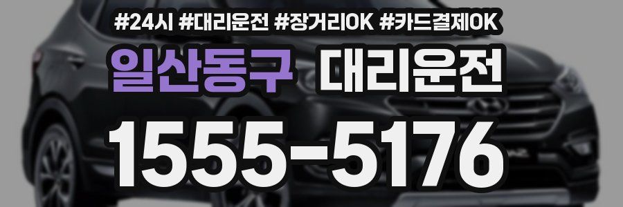 일산동구 대리운전