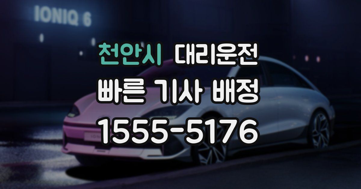 일일대리기사
