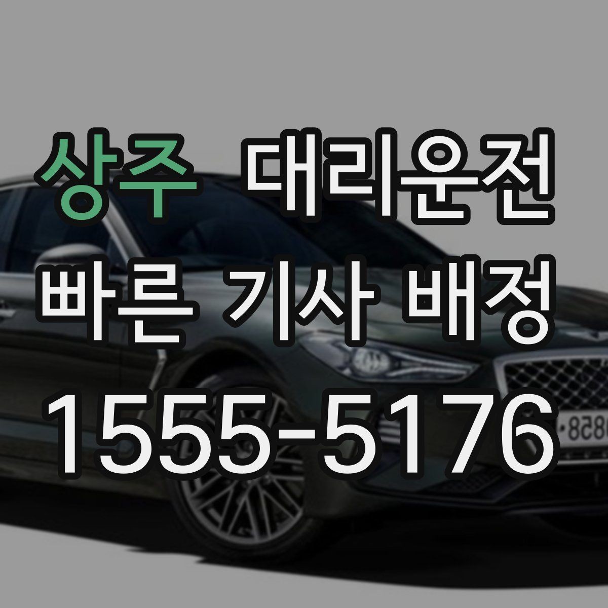상주 대리운전 반려동물 케이지 안내