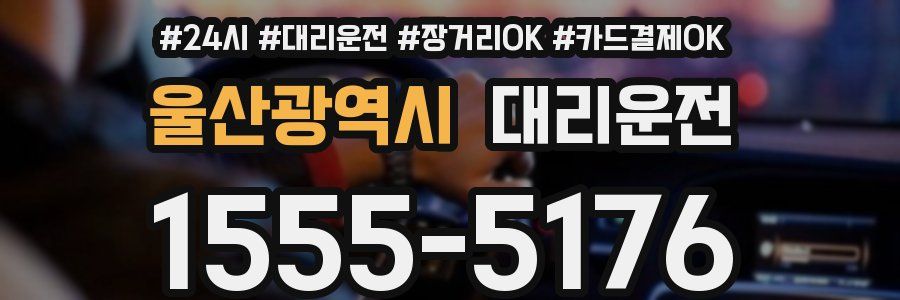 울산광역시 대리운전