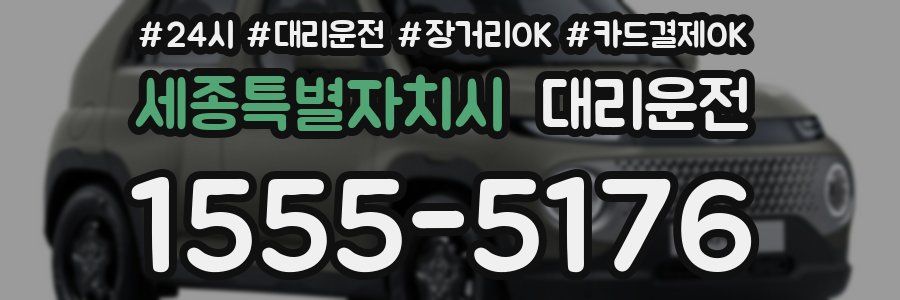 세종특별자치시 대리운전