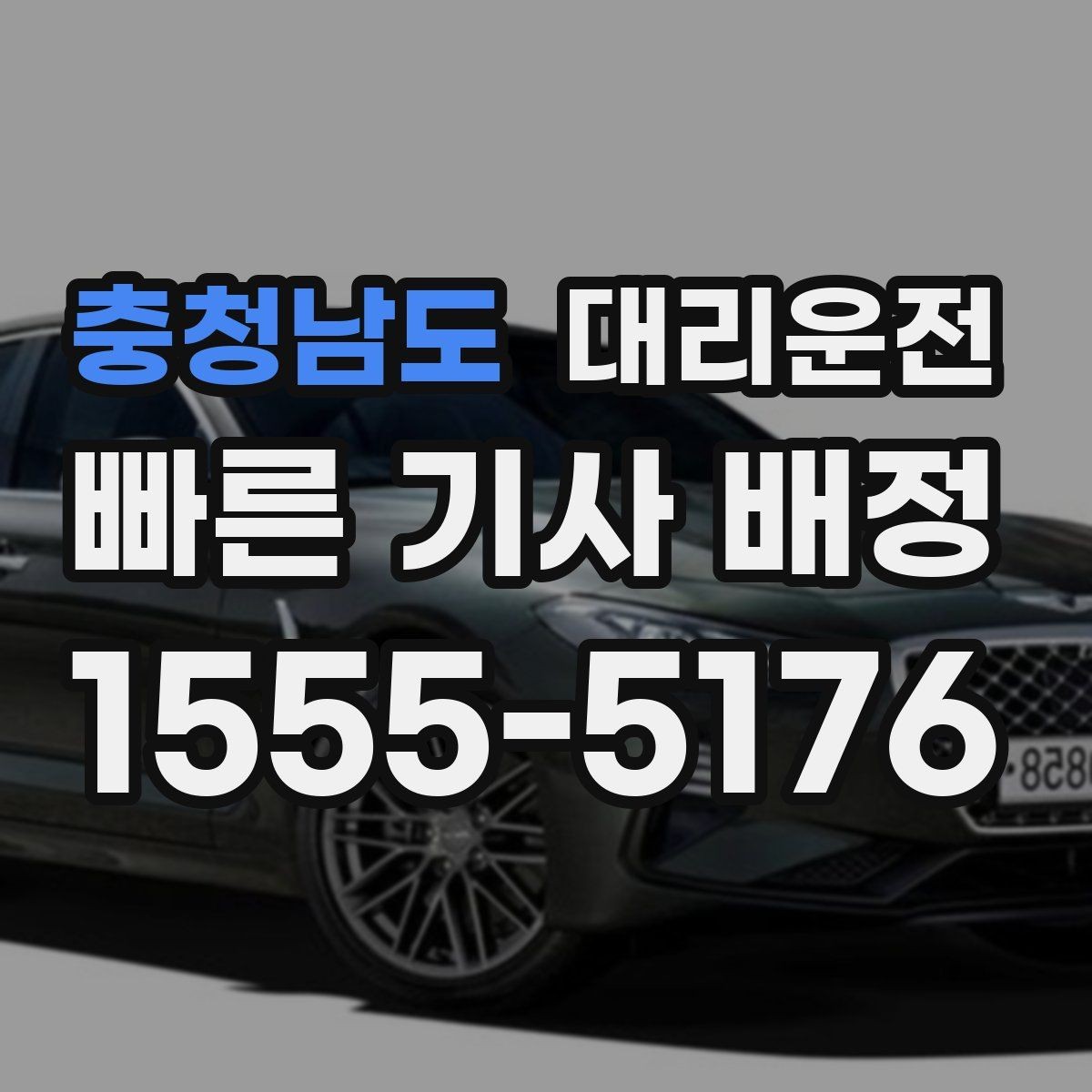 충청남도 대리운전 반려동물 깜짝 돌출 방지 팁