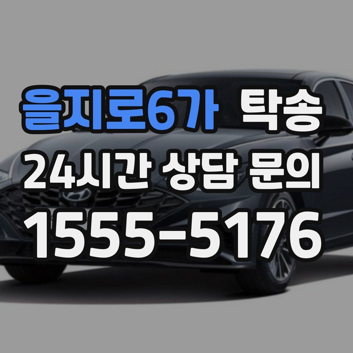 을지로6가 탁송 장거리 노선에서도 일정한 품질 유지