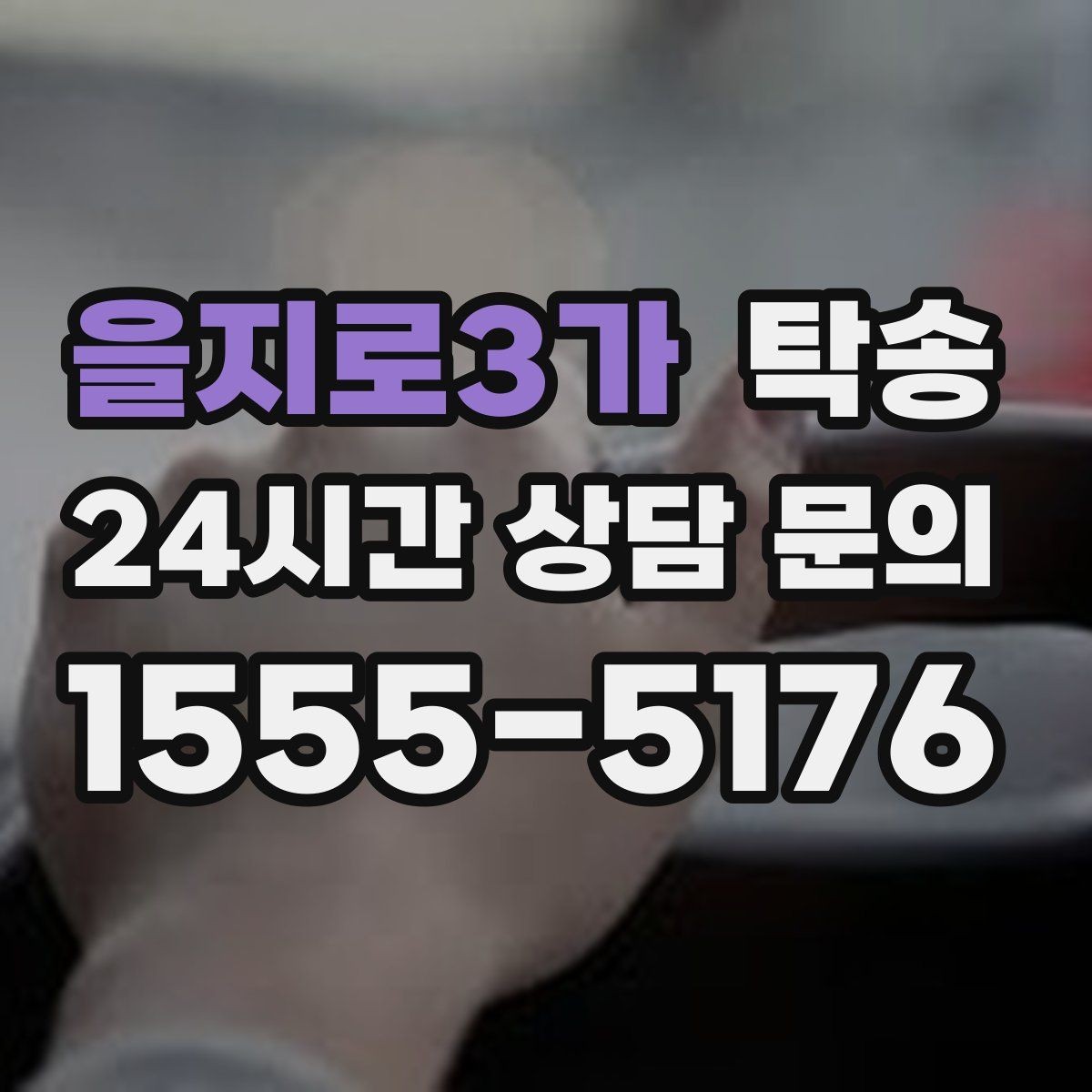 을지로3가 탁송 반려동물 동반 차량 사전 준비로 안전