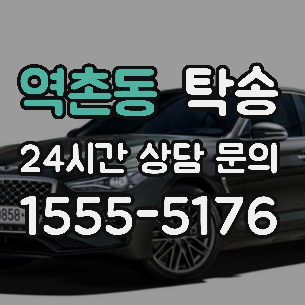 역촌동 탁송 반려동물 동반 차량도 규정 내 진행