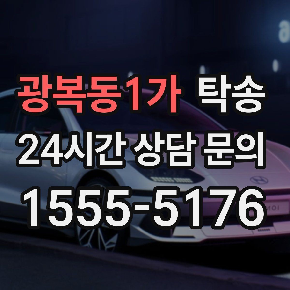 광복동1가 탁송 반려동물 동반 차량 규정 내 안전 진행
