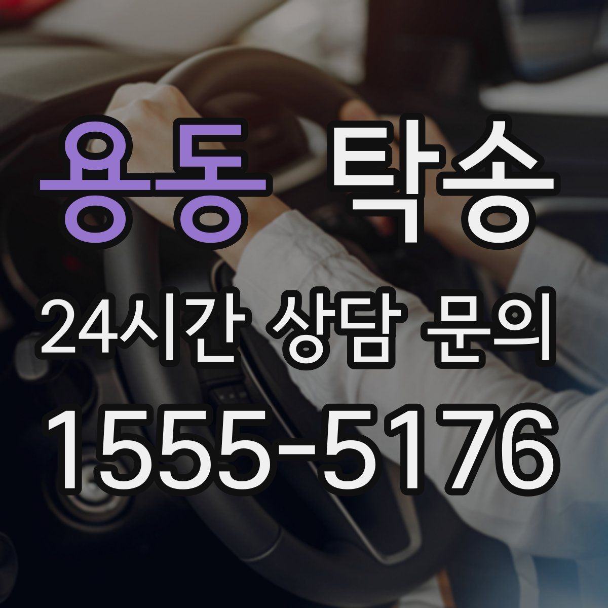 용동 탁송 반려동물 동반 차량 사전 준비로 안전