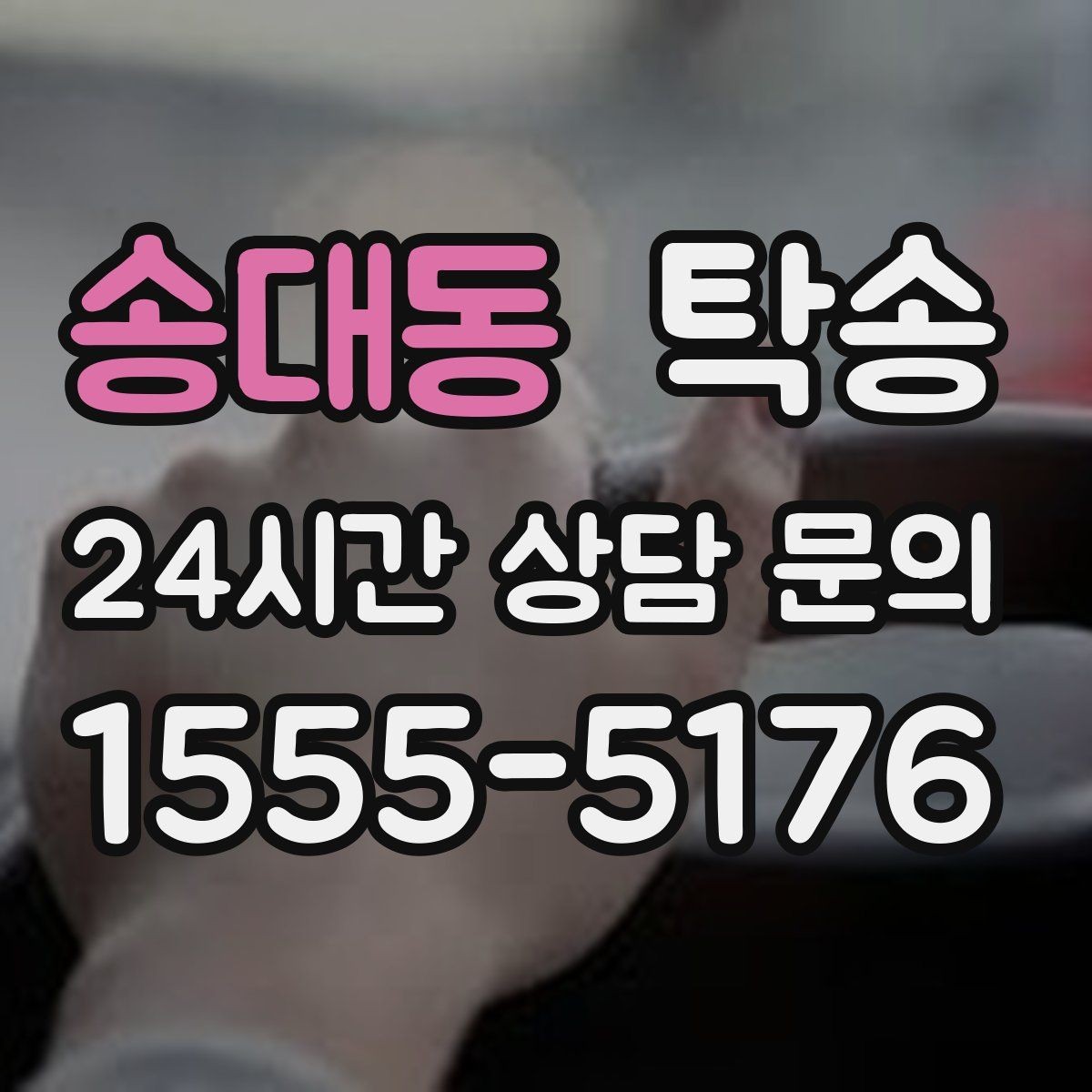 송대동 탁송 반려동물 동반 차량 규정 내 안전 진행