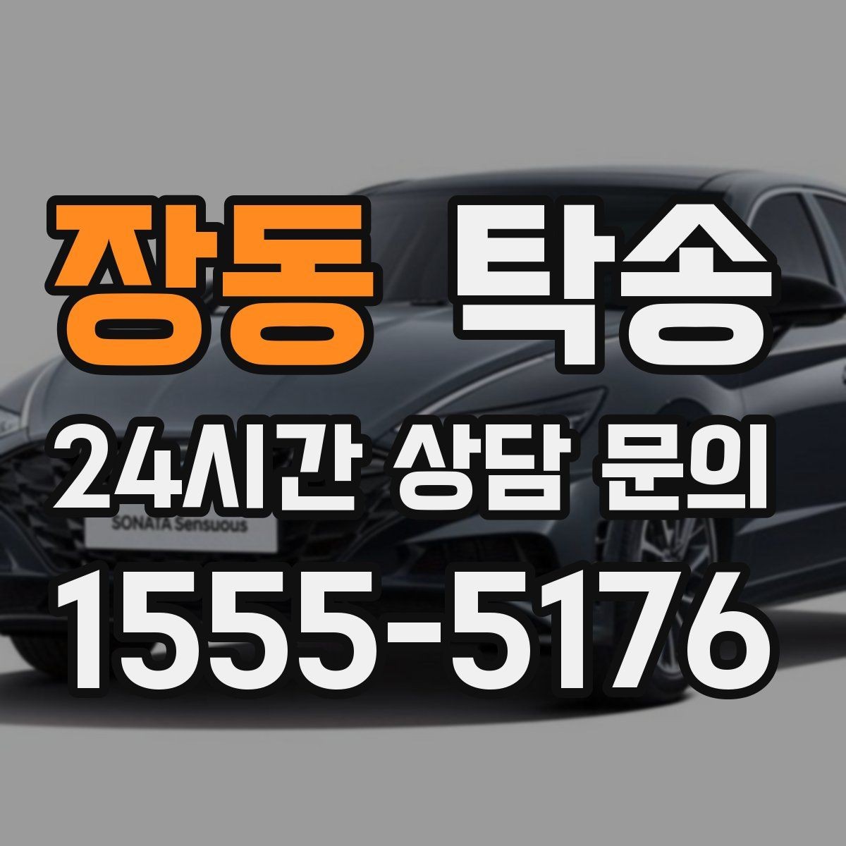 장동 탁송 반려동물 동반 차량 사전 준비로 안전