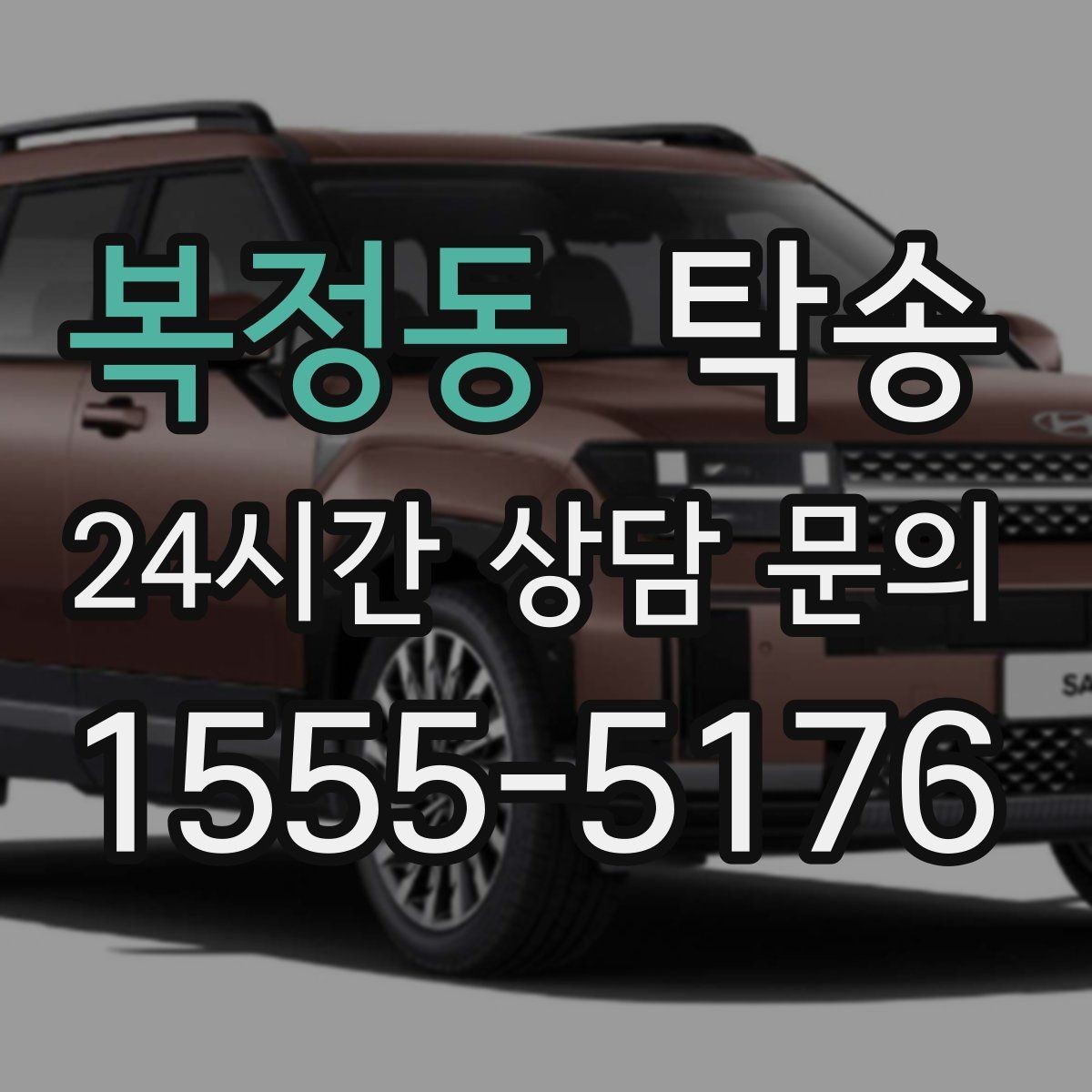 복정동 탁송 반려동물 동반 차량 사전 준비로 안전