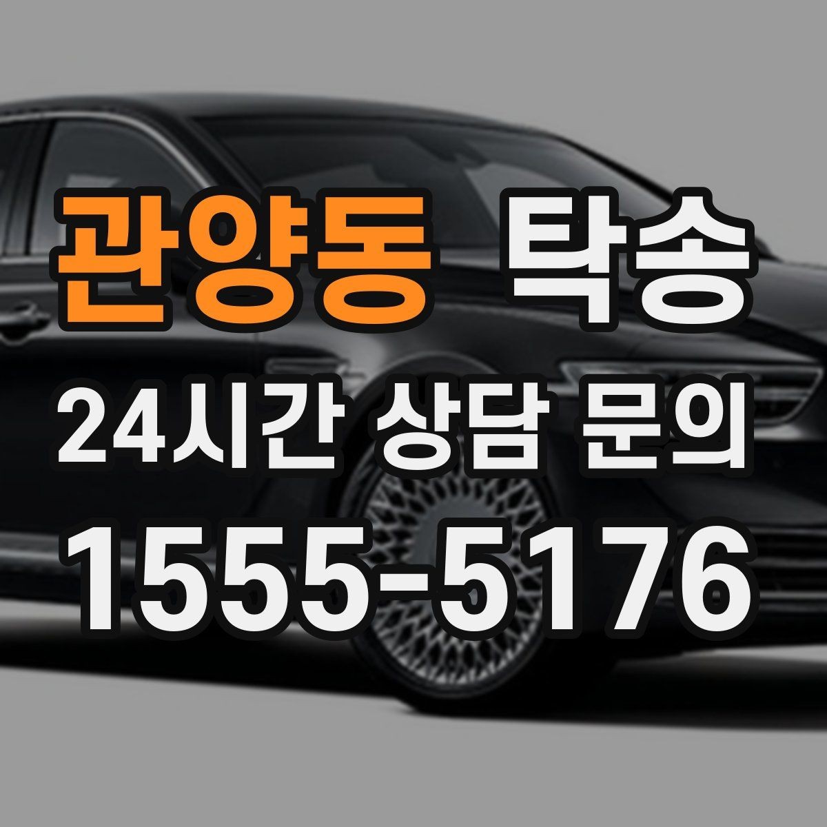 관양동 탁송 전시차 이동 하루 일정 매끄럽게 구성