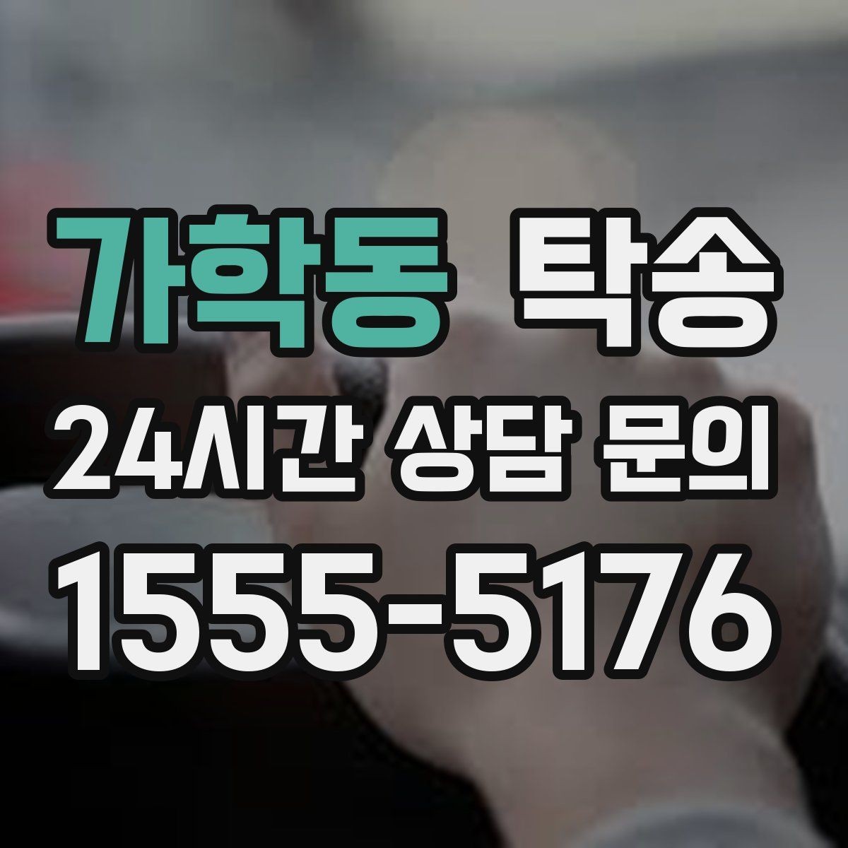가학동 탁송 장거리 구간에도 일정한 운행 품질