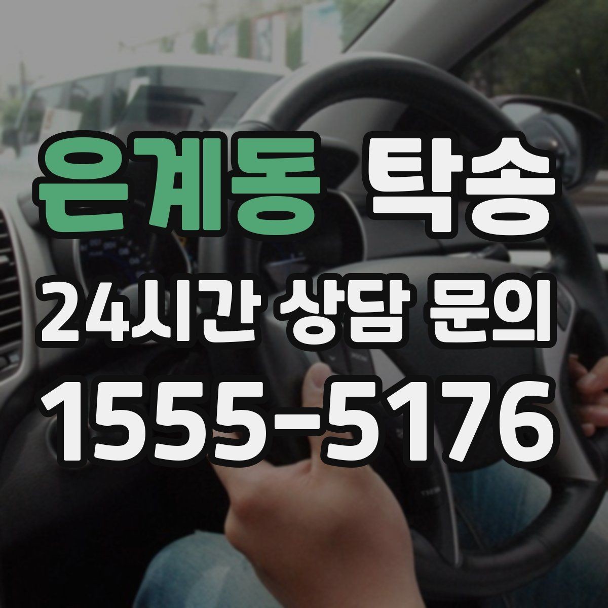 은계동 탁송 반려동물 동반 차량 규정 내 안전 진행