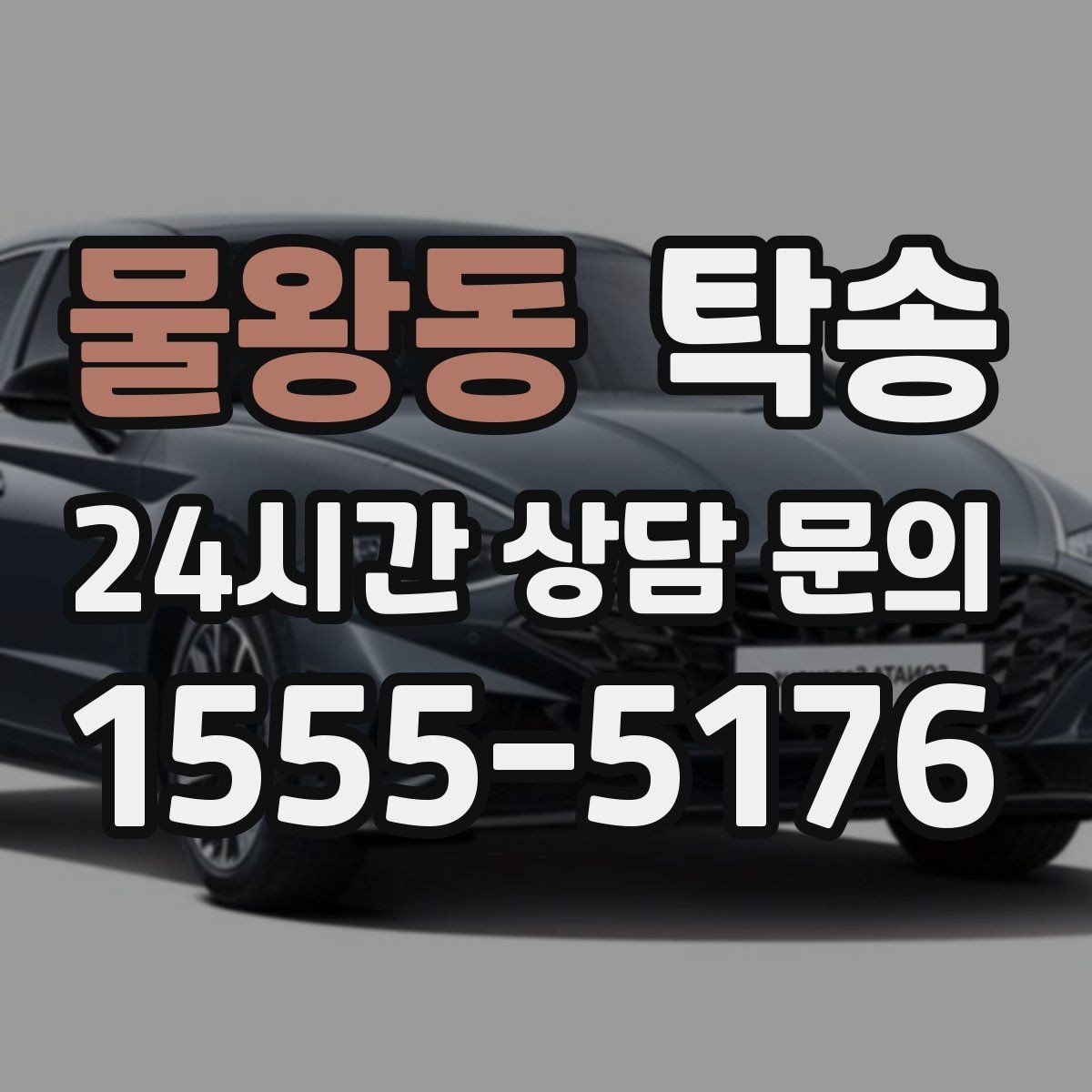 물왕동 탁송 전시장 오픈 전 대기 동선으로 접근