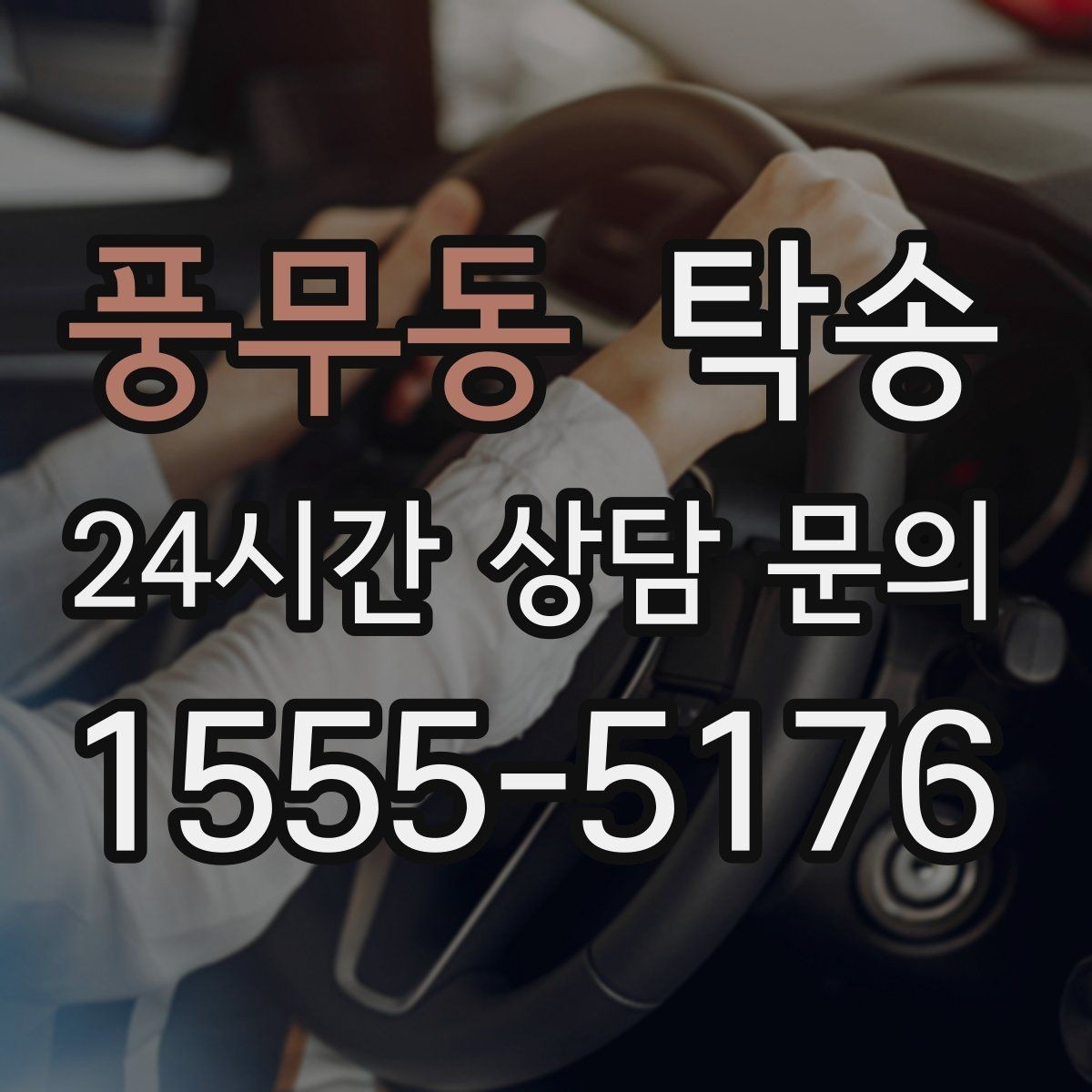 풍무동 탁송 반려동물 동반 차량 사전 준비로 안전