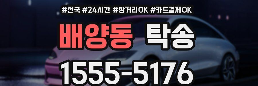 배양동 탁송