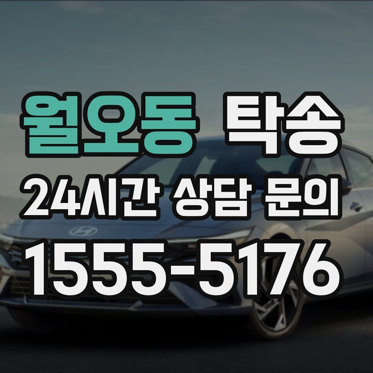 월오동 탁송 장거리 구간도 일정한 운행 품질