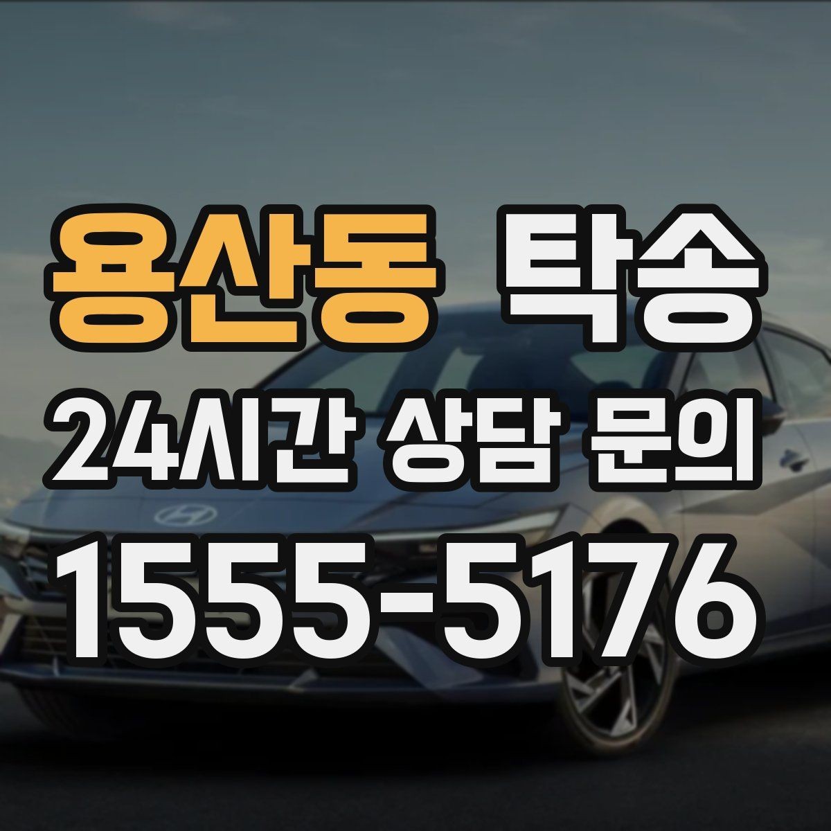용산동 탁송 반려동물 동반 차량도 규정 내 진행