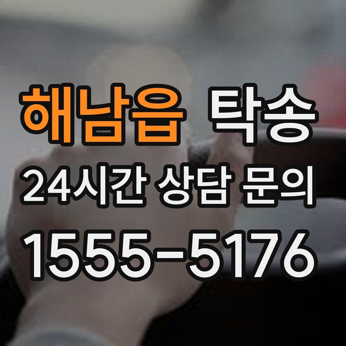 해남읍 탁송 반려동물 동반 차량 규정 내 안전 진행