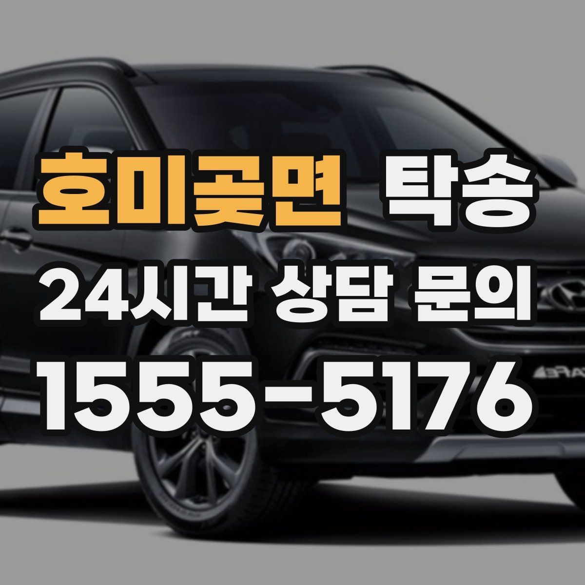 호미곶면 탁송 전시차 이동 하루 일정 매끄럽게 구성